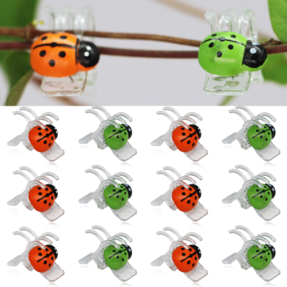 Bonsai Garden For Home - 10-800PCS Ladybird Orchid Clips Colorful 5-Claw