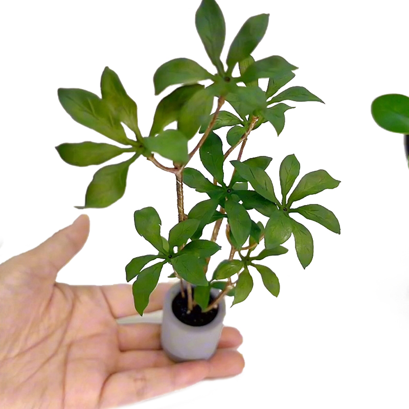 1:6 Dollhouse Miniature Potted – Bonsai Garden For Home Bewertung und Preis