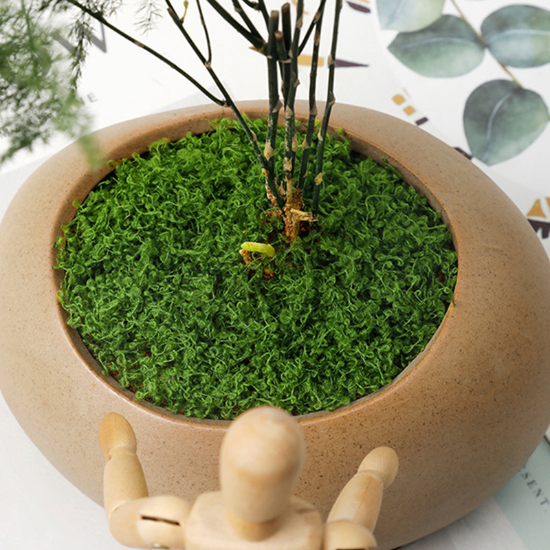 about 20g Artificial Green Pla – Bonsai Garden Decor Bewertung und Preis