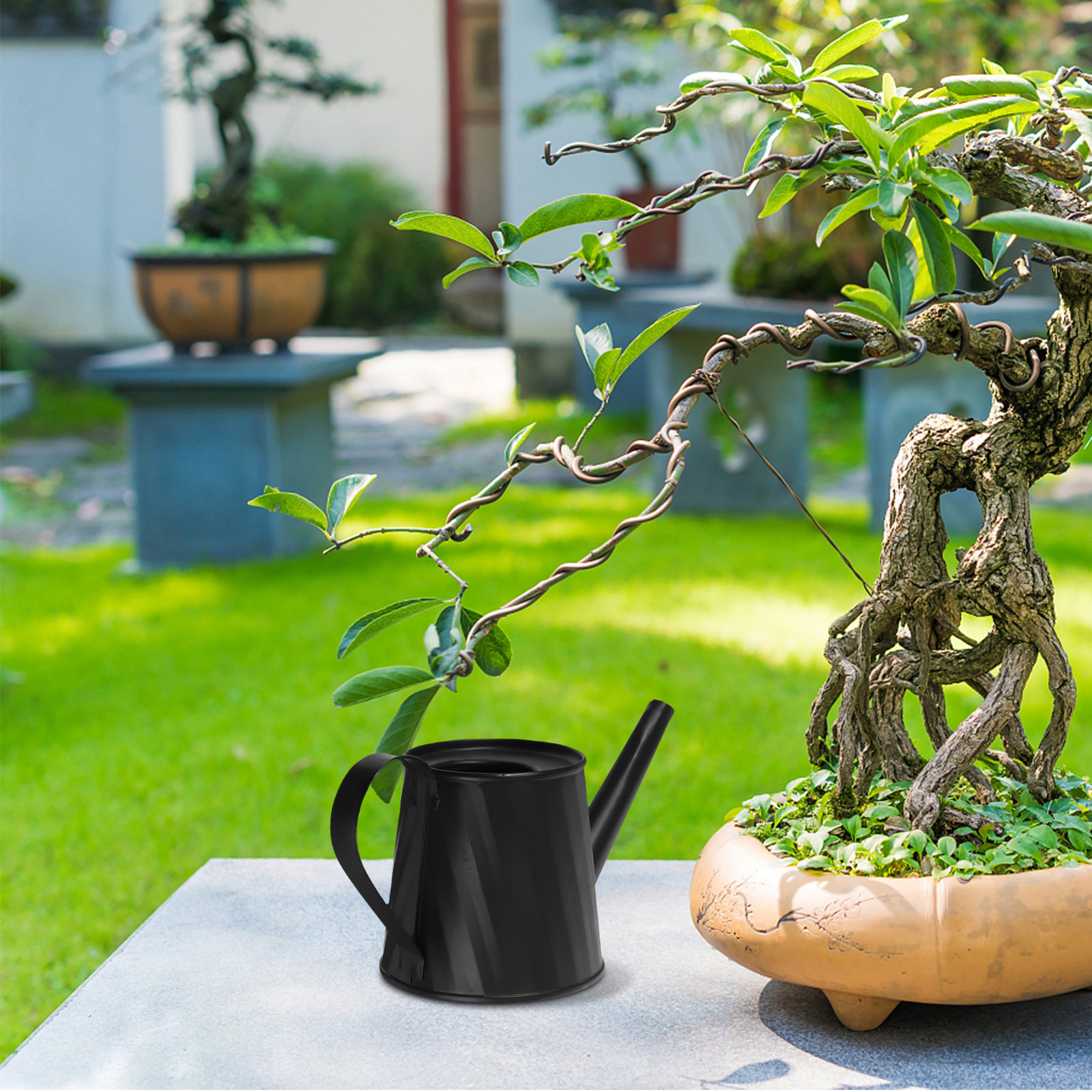 Mini Watering Can for Indoor P – Bonsai Garden Plants Bewertung und Preis