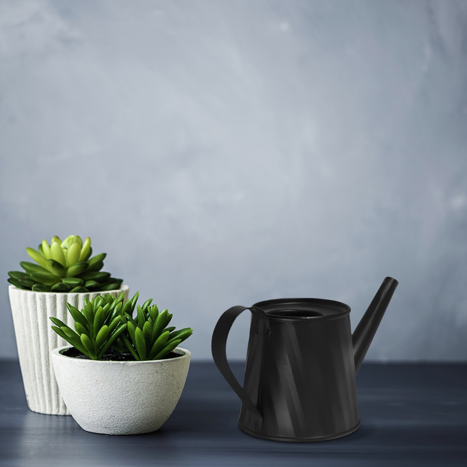 Mini Watering Can for Indoor P – Bonsai Garden Plants Bewertung und Preis