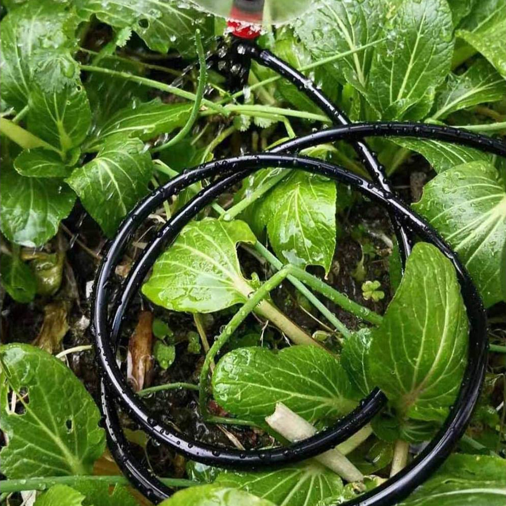 Garden Watering Hose Drip Irri – Bonsai Garden Youtube Bewertung und Preis