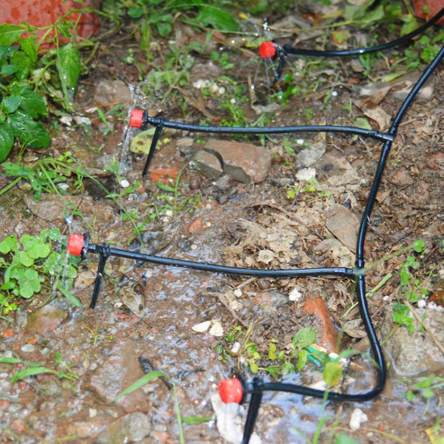 Garden Watering Hose Drip Irri – Bonsai Garden Youtube Bewertung und Preis
