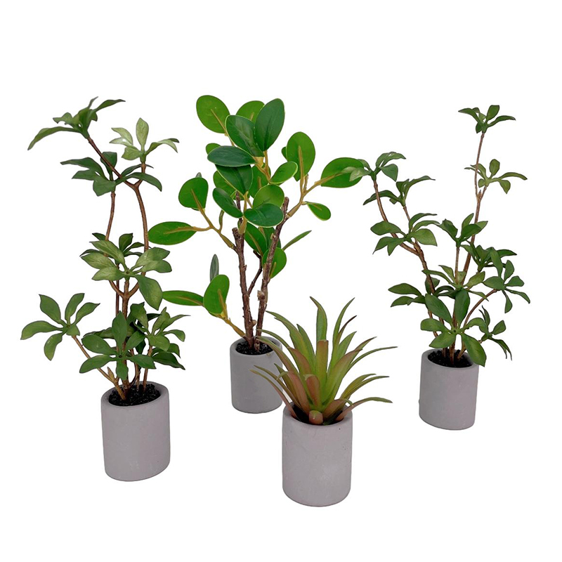 1:6 Dollhouse Miniature Potted – Bonsai Garden For Home Bewertung und Preis