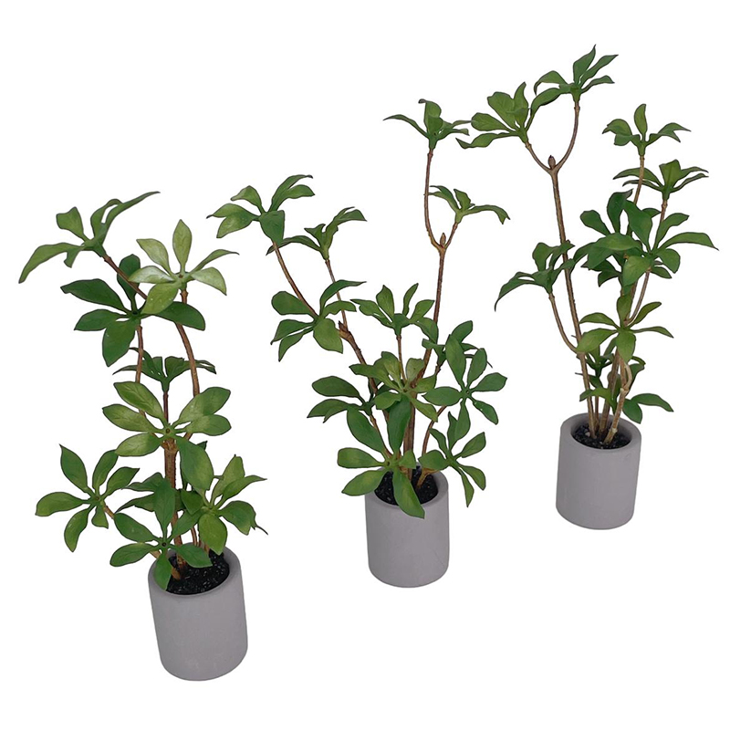 1:6 Dollhouse Miniature Potted – Bonsai Garden For Home Bewertung und Preis
