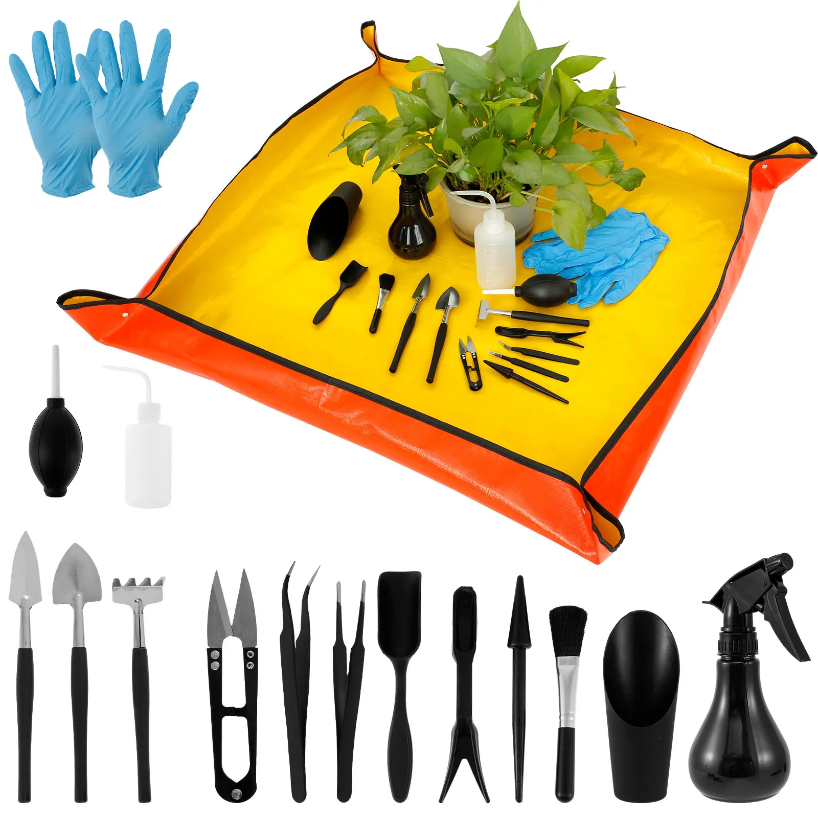 13/16Pcs Garden Succulent Plan – Bonsai Garden Plants Bewertung und Preis