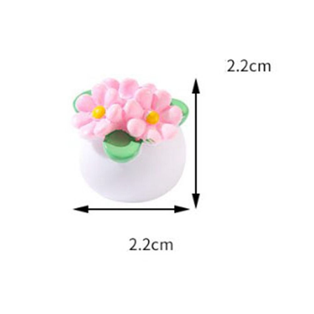 1:12 Dollhouse Miniature Potte – Bonsai Garden For Home Bewertung und Preis