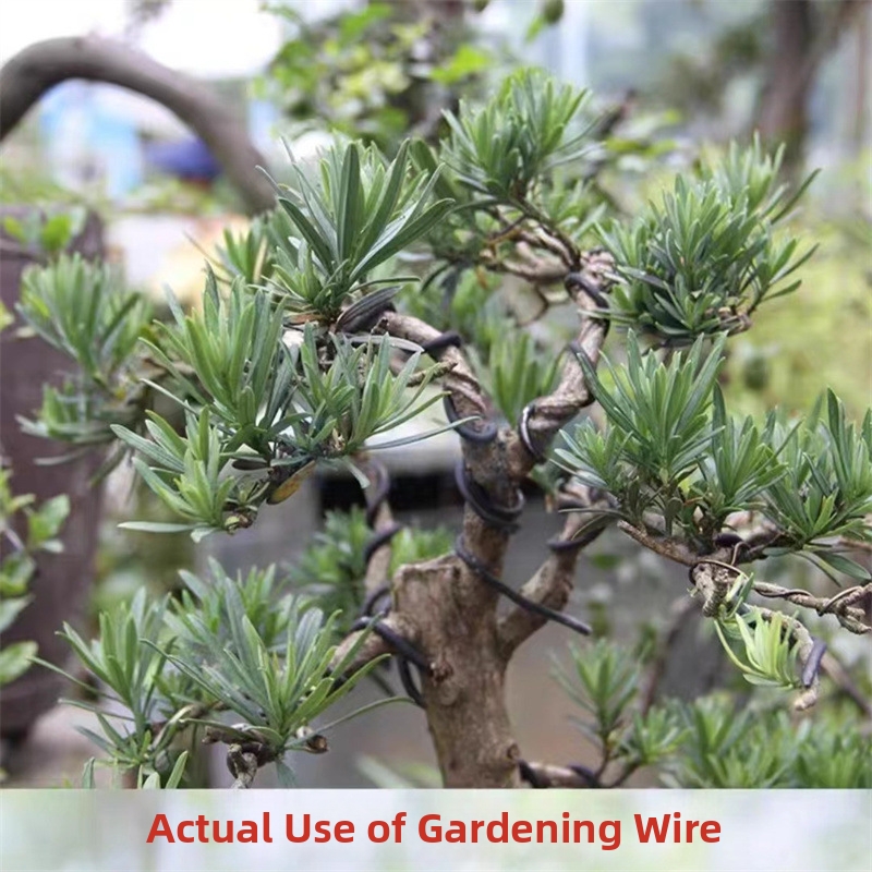 1.5MM Bonsai Wires Aluminum Bo – Bonsai Garden Plants Bewertung und Preis