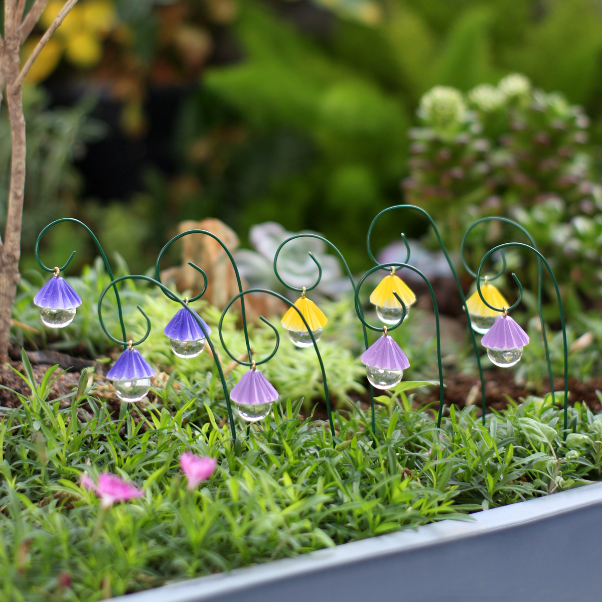 9 fan-shaped water droplet han – Bonsai Garden Decor Bewertung und Preis