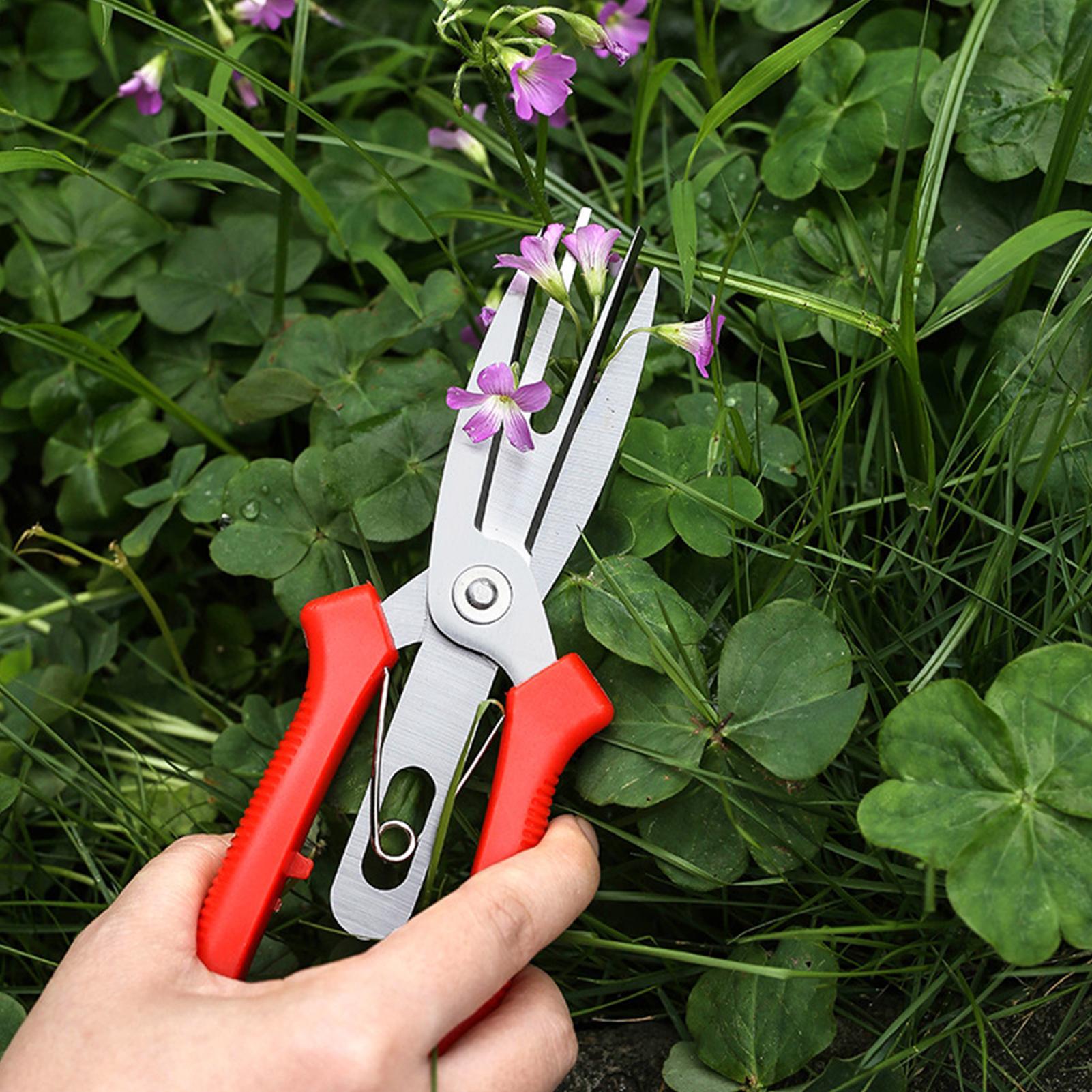 Garden Shears Stainless Steel  – Bonsai Garden Plants Bewertung und Preis