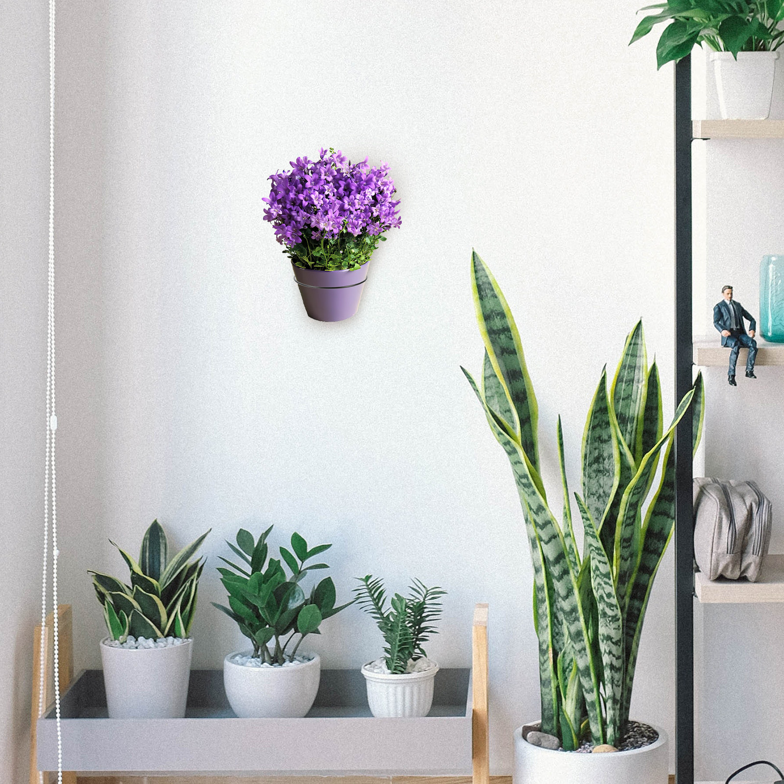 Iron Wall-Mounted Flowerpot Ra – Bonsai Garden Plants Bewertung und Preis