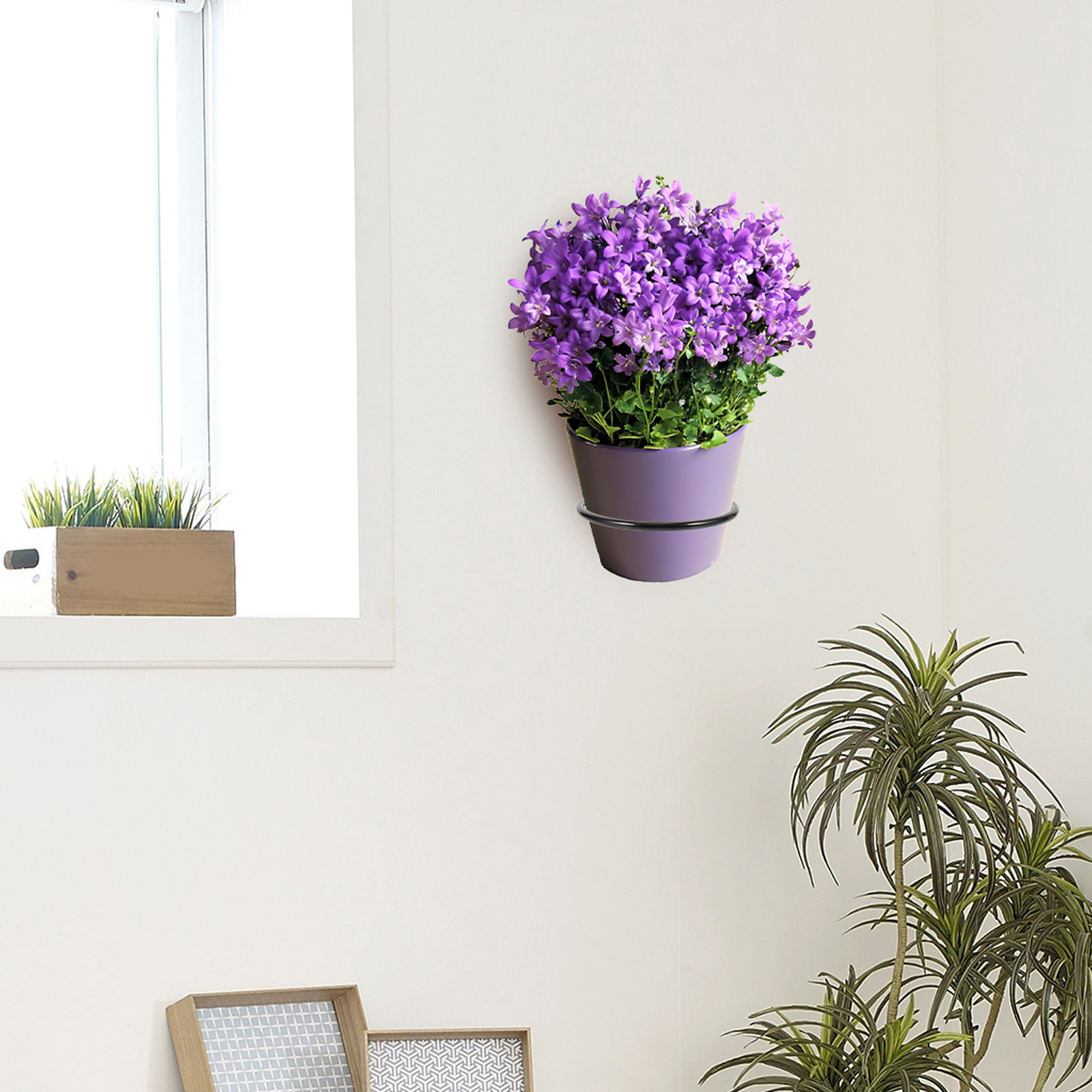 3Pcs Wall-Mounted Plant Pot Ri – Bonsai Garden Plants Bewertung und Preis