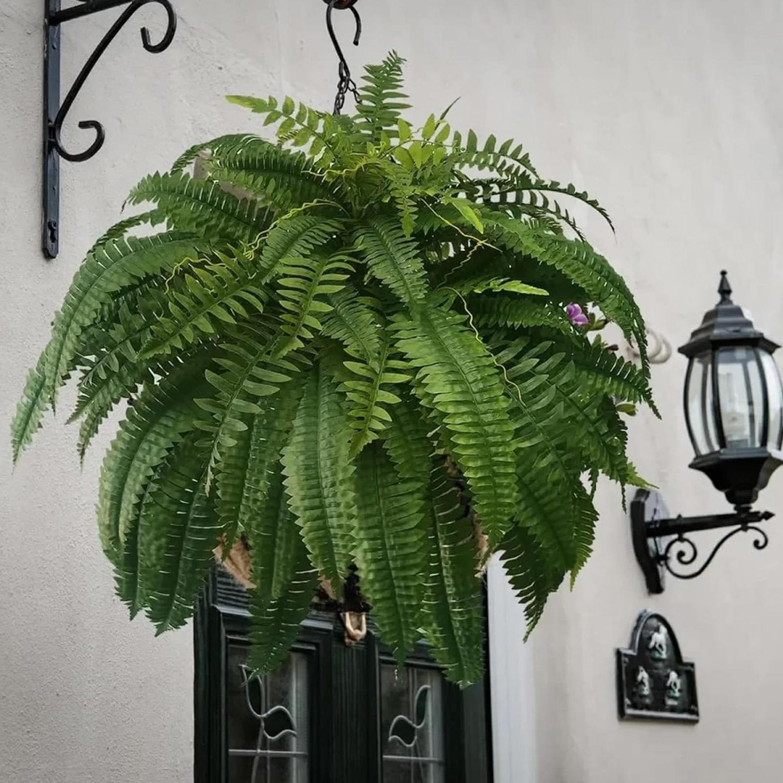 Artificial Boston Fern Fake Pl – Bonsai Garden Boston Bewertung und Preis